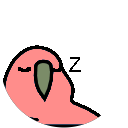 TANG HAO YUAN ZACH profile picture